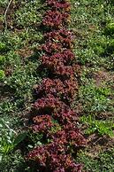 Herdade Da Cortesia Hotel