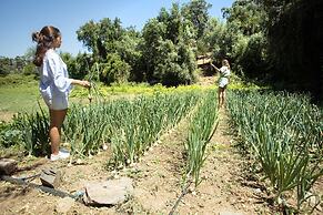 Herdade Da Cortesia Hotel