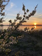 Kirsebærkroen