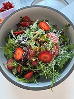 Aquarius Beach Eco-Hotel