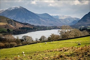 Washington Central Hotel and Sleepwell Inn