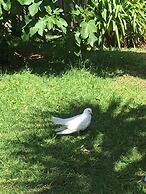 Colonial House Motel