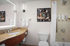 Hilton Garden Inn Fort Worth Medical Center