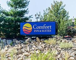 Comfort Inn & Suites Lawrence - University Area