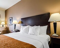 Comfort Inn & Suites Lawrence - University Area