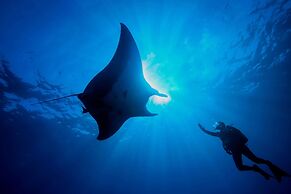 Dusit Thani Maldives - 50 percent discount on transfers for stays unti