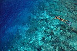 Dusit Thani Maldives - 50 percent discount on transfers for stays unti