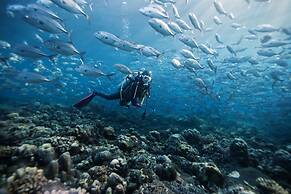 Dusit Thani Maldives - 50 percent discount on transfers for stays unti