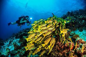 Dusit Thani Maldives - 50 percent discount on transfers for stays unti