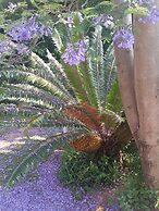 Constantia Manor Guest House