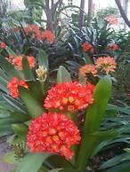 Constantia Manor Guest House