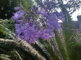 Constantia Manor Guest House