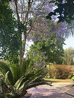 Constantia Manor Guest House