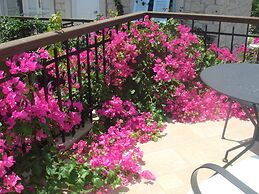 Incirliev - Special Class