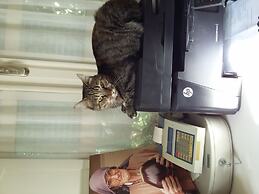 Incirliev - Special Class