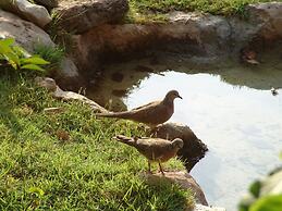 The Menjangan by LifestyleRetreats