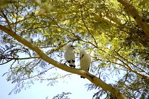 The Menjangan by LifestyleRetreats