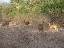 The Menjangan by LifestyleRetreats