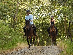 The Menjangan by LifestyleRetreats