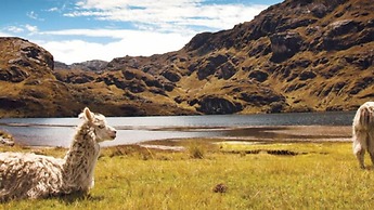 Hotel Boutique Los Balcones