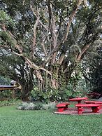 Trapp Family Country Inn