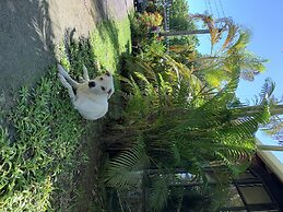 Lusia's Lagoon Chalets