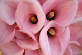 Hotel Villa Margherita