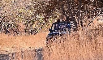 The Fern Gir Forest Resort, Sasan Gir - A Fern Crown Collection Resort