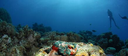 Aqaba Adventure Divers Village