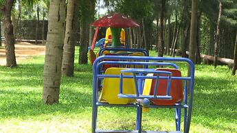 Bonjour Bonheur Ocean Spray