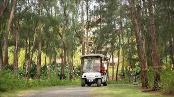 Bonjour Bonheur Ocean Spray