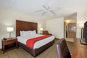 Comfort Inn Kissimmee-Lake Buena Vista South