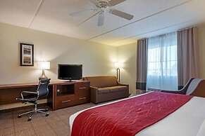 Comfort Inn Kissimmee-Lake Buena Vista South