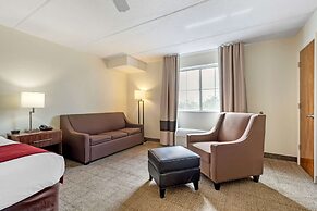 Comfort Inn Kissimmee-Lake Buena Vista South