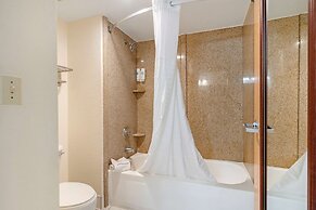 Comfort Inn Kissimmee-Lake Buena Vista South