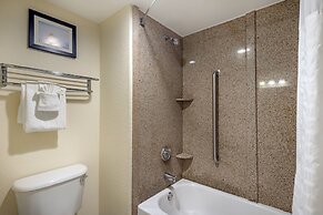 Comfort Inn Kissimmee-Lake Buena Vista South