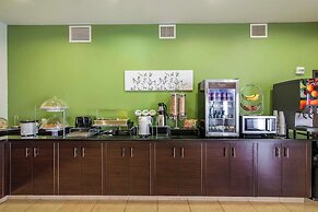 Sleep Inn And Suites Haysville
