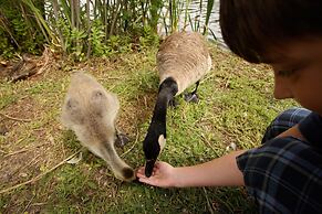 Holiday Inn Hotel & Suites Saskatoon Downtown by IHG