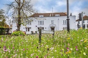 The Bear Hotel