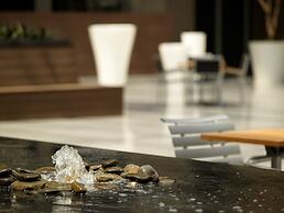 Courtyard Mexico City Airport