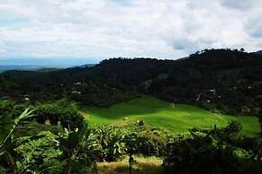 Tadplacamp Organic Farm Stay