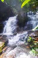 Tadplacamp Organic Farm Stay