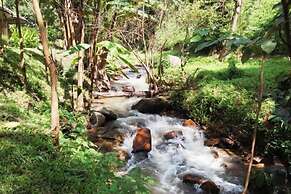 Tadplacamp Organic Farm Stay