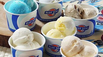 Vessel Hotel Campana Okinawa