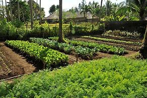 The Farm at San Benito