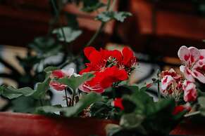 Hotel Crystal Reims Centre