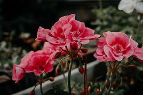 Hotel Crystal Reims Centre