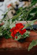 Hotel Crystal Reims Centre