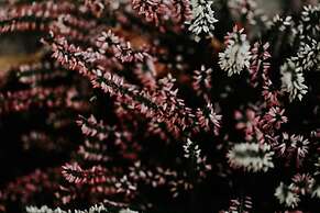 Hotel Crystal Reims Centre