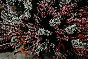 Hotel Crystal Reims Centre